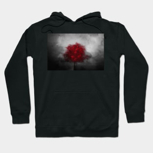 Red Maple Against A Dark Sky Hoodie